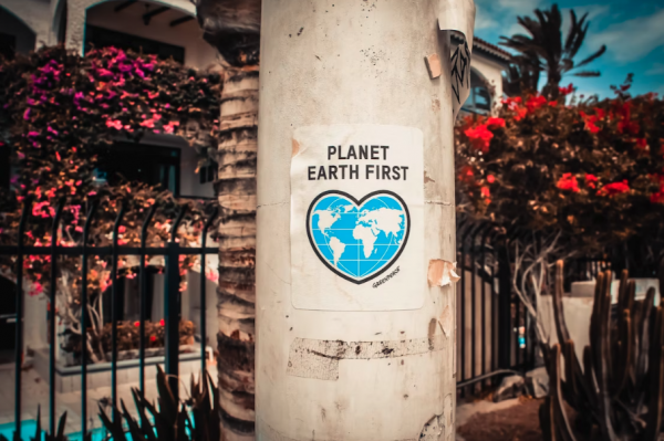 What is ESG? A poster on a pillar reads "Planet Earth First"
