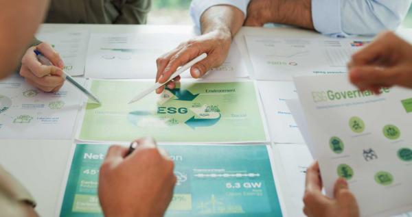 Sustainable Development Goals reporting, A closeup of businesspeople talking ESG strategies.